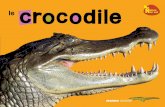 Nature en vue - Le crocodile