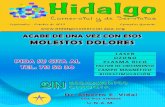 Hidalgo Comercial y de Servicios
