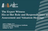 The Role of Expert Witness