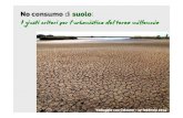 Consumo di suolo - Slide di Patricio Enriquez