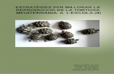 Estratègies per millorar la reproducció de la tortuga mediterrània a l'escola (II)