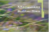 Catálogo de Mariposas  El Pastillo Conservation Trust