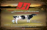 JeanLu Holsteins Convention Tag Sale