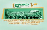 Declaracion PASO 2013