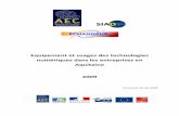 Etude Usage TIC 2009 AEC - Observatoire Aquitain Economie Numerique