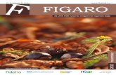 Figaro 2012/november