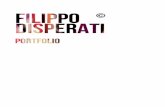 Filippo Disperati's Portfolio