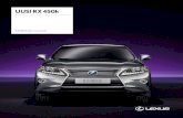 10493 RX NG Geneva Leaflet_Hybrid_FIN_150dpi