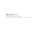 Pico::Annual Report 2010