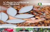 Agricoltore cuneese ottobre 2012