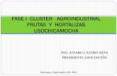 CLUSTER AGROINDUSTRIAL FRUTAS Y HORTALIZAS