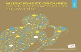 Musiciens et groupes de musiques actuelles en Mayenne - synthèse