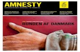 Amnesty #1 2010