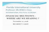 FINANCIAL MELTDOWN :WHERE ARE WE HEADING ? Ricardo V. Lago