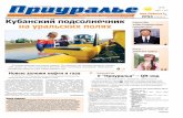 Газета Приуралье №53