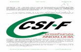 CSIF :: Borrador normativa bolsas conservatorios superiores