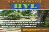 Revista Digital HVL Preservação dos rios e córregos de Ariquemes-RO
