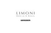 Презентация франшизы LIMONI Make-up & Beauty