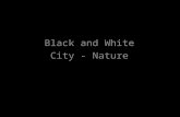 Black and White City - Nature
