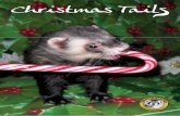 Furettomania Informa Christmas tails 2012