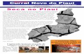 Curral Novo Do Piauí