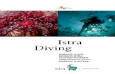 Istra diving