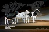 Liste de taureau Holstein canadienne