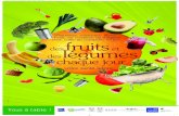 Programme Aide Alimentaire 2013 _ Affiche fruits legumes _ DGCS