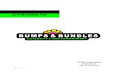 Bumps And Bundles