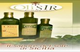 Olio di oliva Camolio - Gourmet Olive oil