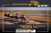 Tanzania Express