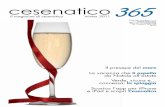 Cesenatico365 | Adriacompany