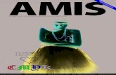 AMIS 2/2009