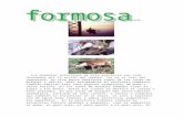 Provincia de Formosa