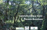 Floresta Autóctone