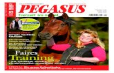 Pegasus-fs 09/2010