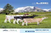 Alta catalogue 2013 web