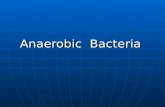 Anaerobic  Bacteria