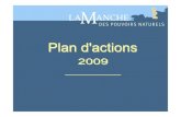 Plan d'action 2009