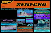 Senecko 13-13