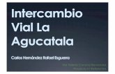 AGUACATALA - Esguerra / Hernández