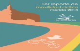 1er Reporte de Movilidad Ciclista, Mérida 2013
