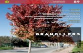 Granollers Informa octubre 2011