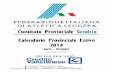 Calendario provinciale estivo 2014 01042014