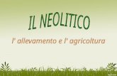 Il Neolitico: allevamento ed agricoltura