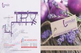 Lavender brochure