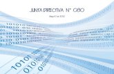 Junta Directiva 080