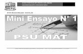 Mini Ensayo MAT-01