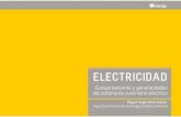 Electricidad // Comportamiento y generalidades del sistema de suministro eléctrico