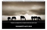Calendrier : Solidarité Haiti 2010